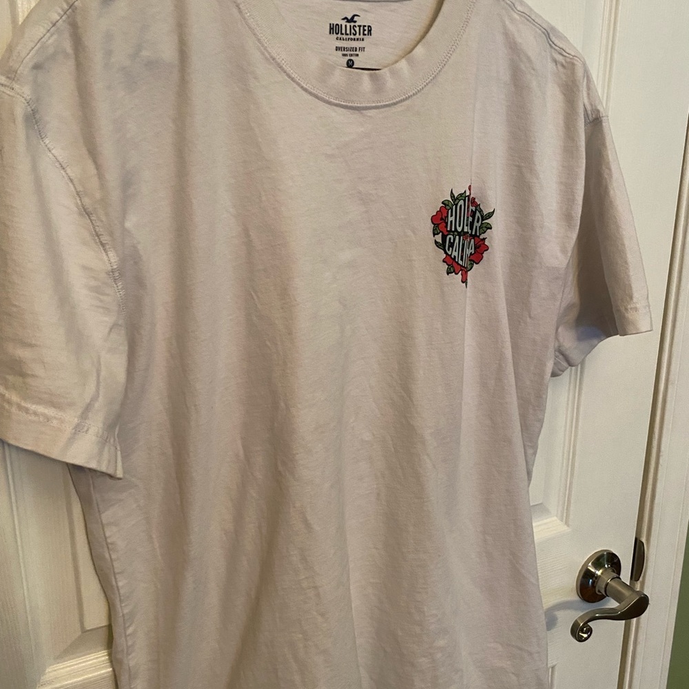 Mens Hollister tshirt